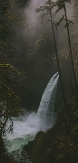 Misty forest with a waterfall cascading down, surrounded by lush green foliage.