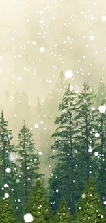 Misty forest with falling snow on evergreen trees creating a serene winter scene.