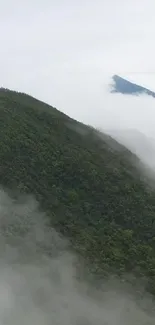 Misty green mountain with fog on a serene wallpaper background.