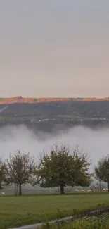 Misty hillside with rainbow over green fields and trees.