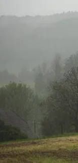 Misty hillside landscape with greenery and foggy surroundings.