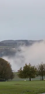 Misty landscape with green fields and trees under a foggy sky.