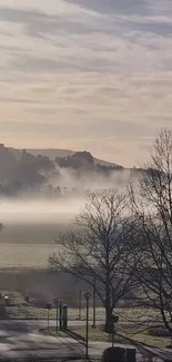 Misty morning landscape with trees and fog under a blue sky.