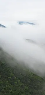 Misty mountains and green forest landscape.