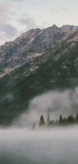 Misty mountain landscape with forest and fog.