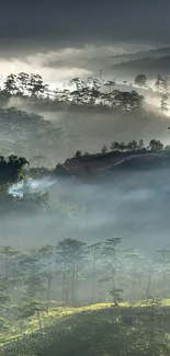 Misty mountain landscape with dense fog and green forests.