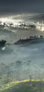 Misty mountain landscape with lush green forests and fog.