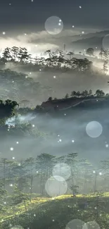 Misty mountain landscape with fog shrouding the valleys and soft light filtering through trees.