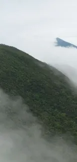 Tranquil misty mountain with lush green slopes and soft fog.