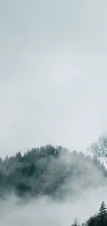 Snowy mountain peak covered in mist with surrounding dark forest.