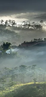 Misty mountain sunrise with lush green valleys and clouds.