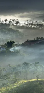 Misty mountain landscape with sunrise and green valleys.