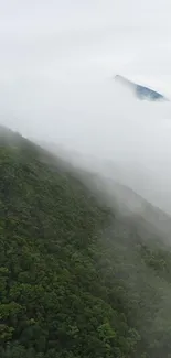 Misty mountain with lush green forest and clouds.