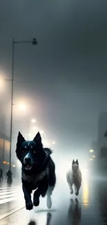 Dogs running through a misty urban street at night.