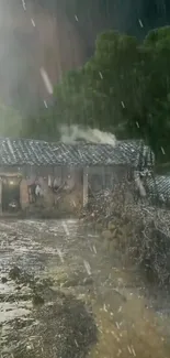 Misty countryside cottage enveloped in rain and lush greenery.