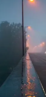 Misty road with streetlights on a foggy night.