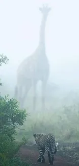 Misty landscape with leopard and giraffe in the savanna.