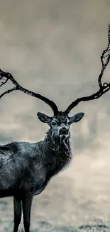 A majestic stag with unique antlers stands in a misty, serene setting.