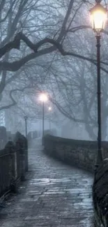 Misty path with street lamps glowing in the foggy night atmosphere.