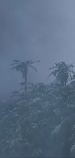 Misty tropical forest with lush trees and soft mist.