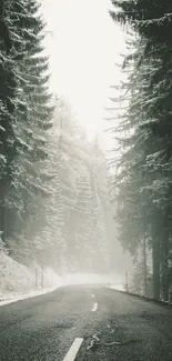 Misty winter road through a forest with snow-covered trees.