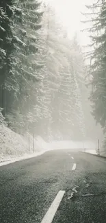 Peaceful misty road surrounded by snow-covered trees.