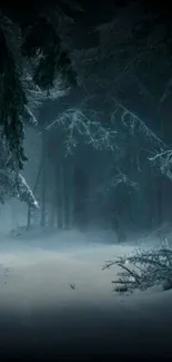 A peaceful winter forest with mist and snow-covered trees creating a serene scene.