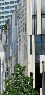 Modern building with a reflective glass facade showcasing cityscape.