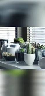 Modern indoor plant decor with sleek pots.