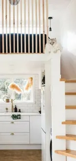 Modern minimalist kitchen with cat and wooden accents.