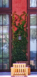 Modern red wall with climbing green ivy and wooden chairs.