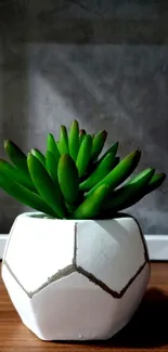 Succulent in a geometric white pot on wooden table with gray background.