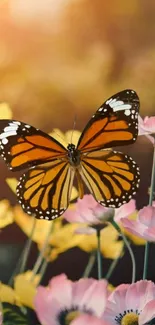 Monarch butterfly on colorful flowers mobile wallpaper.