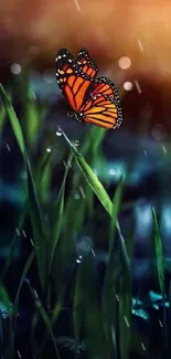 A monarch butterfly fluttering above green grass with warm sunlight.