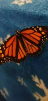 Monarch butterfly on blue snowflake patterned blanket.