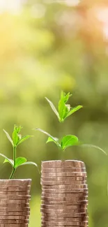 Stacks of coins with green plants growing, symbolizing financial growth.