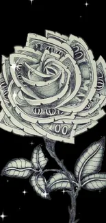 Creative money rose on a black background, elegant phone wallpaper.