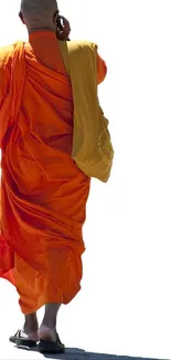 Monk wearing vibrant orange robes on white background.