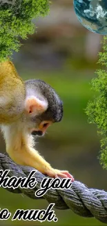 Squirrel monkey on rope with green background and 'Thank You' text.