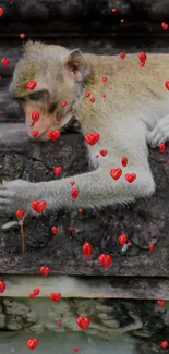 Monkey wallpaper with red heart effects, perfect for animal-themed mobile backgrounds.