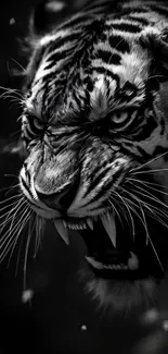 Monochrome Angry Tiger Live Wallpaper