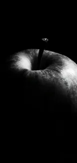 Black and white close-up of an apple, highlighting shadows.