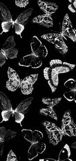 Monochrome butterfly wallpaper on black background for mobile