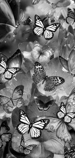 Monochrome butterfly wallpaper with intricate patterns and elegant design.