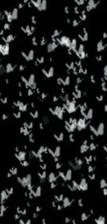 Monochrome mobile wallpaper with white butterflies on black background.