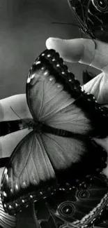 Black and white wallpaper with a butterfly resting on a hand.