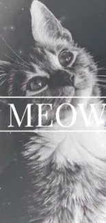 Monochrome cat with 'meow' text on stylish phone wallpaper.