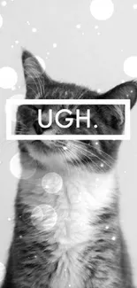 Monochrome cat with text overlay 'UGH' on face in minimalist style.