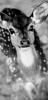 Monochrome portrait of a young deer, conveying elegance and natural beauty.