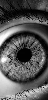 Monochrome close-up of a detailed human eye, highlighting iris texture.